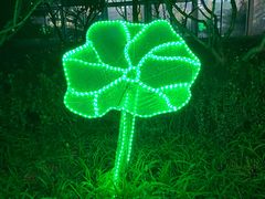 -南宫五洲植物乐园