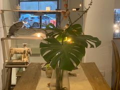-MAISON门前杂货店