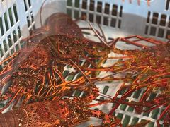 -南纪白浜Toretore市场