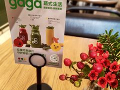 -gaga(深圳南山益田假日广场店)