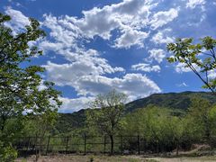 -鹫峰国家森林公园