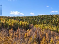 -塞罕坝国家级自然保护区