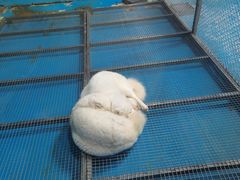 -泉城欧乐堡海洋极地世界