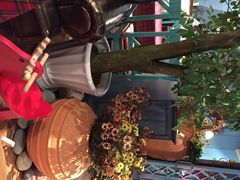 德芭与彩虹-芭莉与彩虹西餐厅(成都合生汇店)