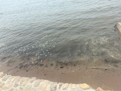 -秦皇岛秦皇国际大酒店