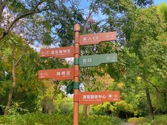 -上海滨江森林公园