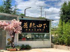 -蘑统田下·野生菌火锅