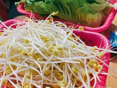 -霞姐屯昌枫木香草鸭店(海螺店)