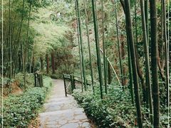 -潜山国家森林公园