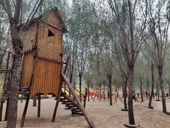 -西部长青自然儿童乐园