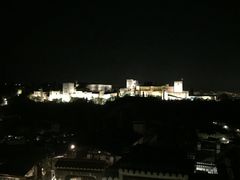 -阿尔罕布拉宫