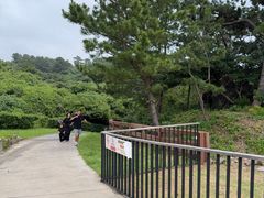 -柱状节理带