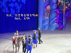 -海合安武汉极地海洋公园
