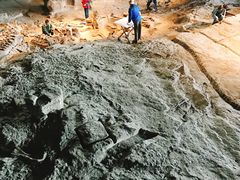 -自贡恐龙博物馆