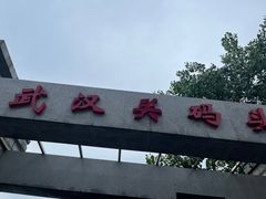 -武汉关码头(轮渡站)