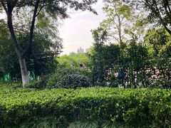 -杭州城北体育公园