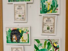 -金宝幼儿园(通州校区)