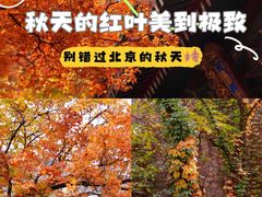 -香山公园