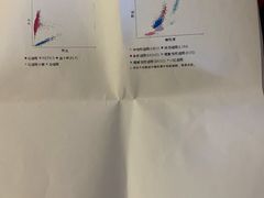 -美联众合动物医院·24h京西诊疗中心