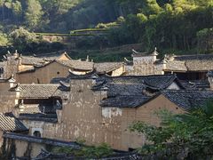 -杨家堂村