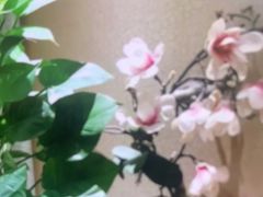 -菩提慧宾养生堂(梦幻亮点世界公园店)