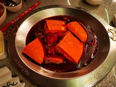 -大龙燚火锅(太古里店)