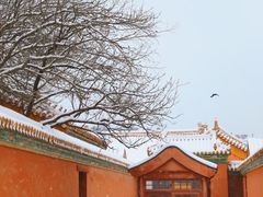 -故宫博物院(故宫)
