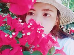 -西双版纳原始森林公园