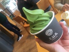 -雪绿茶博物馆