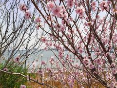 -阳澄湖半岛旅游度假区
