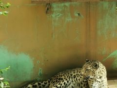 -青藏高原野生动物园