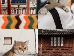 -方浜中路45弄小区