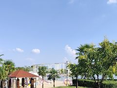 -九龙湖公园
