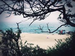 -玫瑰海岸文化旅游度假区