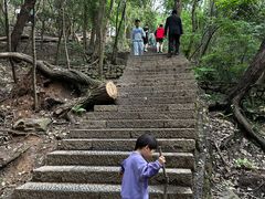 -紫金山天文台