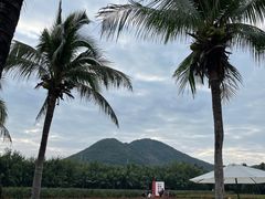 -亚龙湾国际玫瑰谷