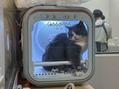 -悠尼宠物·独立低压伊珊娜洗护·美容·寄养(兰谷路店)