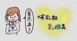 -臻康乃馨月子中心(集美店)