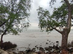 -宝安西湾红树林湿地公园