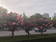 -牛德亨臻牛潮汕火锅(万邦时代店)