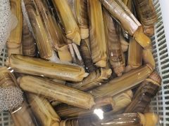 -万盛合(渔人码头店)