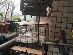 -程记私房火锅兔(总店)