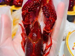 -肥肥虾庄·金牌油焖大虾(首义路店)