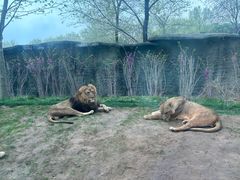 -北京野生动物园