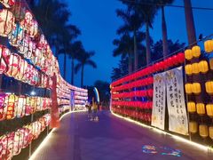 -光明农场大观园