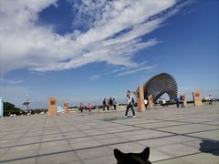 -南汇嘴观海公园