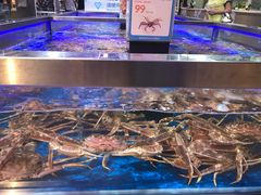 -盒马X会员店(王府井奥莱UP TOWN店)