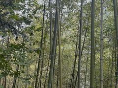 -WILDS 野有食(碧坞店)