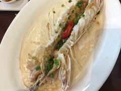 -东方御宴海鲜酒楼(棕泉酒店)