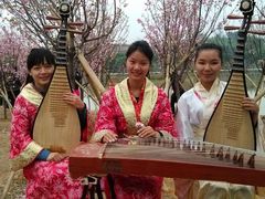 -天适樱花悠乐园